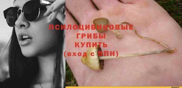 таблы Арсеньев