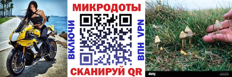 купить сайты Лукоянов Галлюциногенные грибы прущие грибы